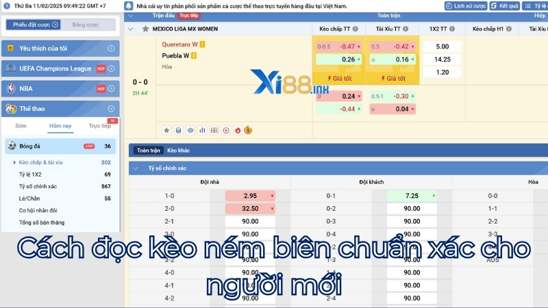 Cách đọc bảng tỷ lệ kèo ném biên chuẩn xác cho người mới