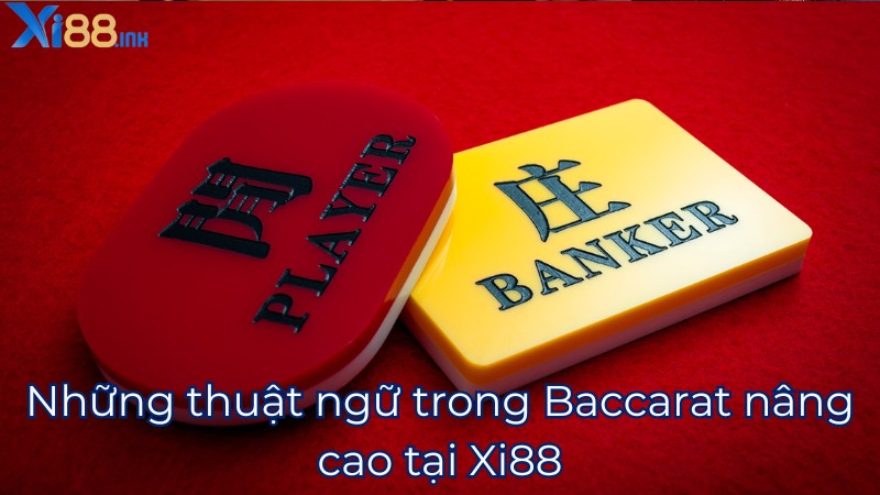 Những thuật ngữ trong Baccarat nâng cao tại Xi88